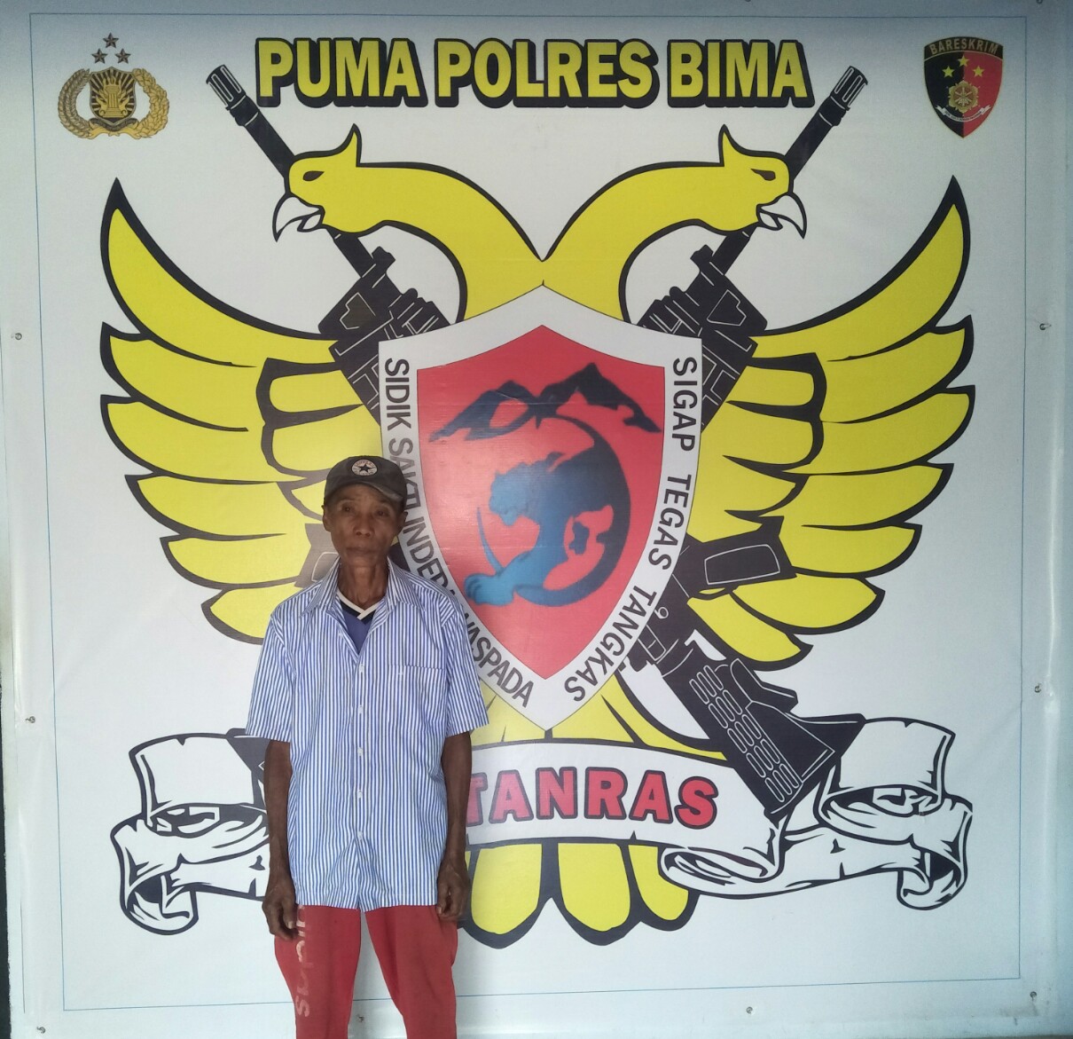 Jerat Babi Makan Korban, Pencari Rumput Tewas Tersengat Listrik