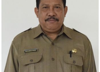 Terbuka 4.865 Formasi CPNS di Pemprov NTB