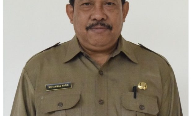 Terbuka 4.865 Formasi CPNS di Pemprov NTB