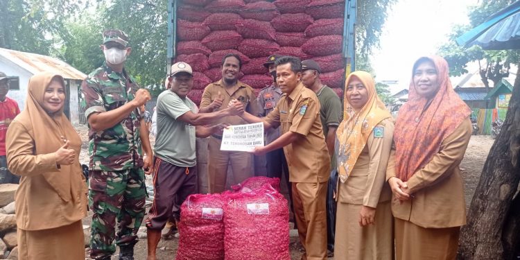 Wujudkan Kampung Sayuran, Pemkab Bantu Kelompok Tani di Kilo