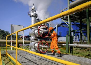 Muluskan Jalan Transisi Energi, PLN Kolaborasi dengan Jepang Bangun Ekosistem EBT di Indonesia