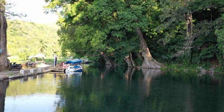 Srinom, Lokal Hero Program TJSL PLN Yang Menyabet Penghargaan INDONESIA GREEN AWARD (IGA) 2023