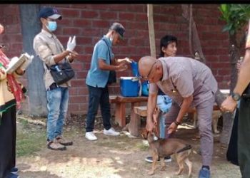 Tanggulangi Serangan Anjing Rabies, Pemerintah Kelurahan Bali I, Lakukan Vaksinasi