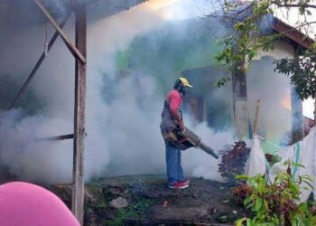 Dinas Kesehatan Dompu Antisipasi Wabah DBD Dengan Jumantik
