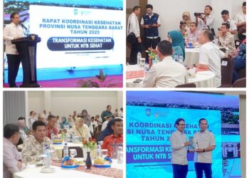 Keluhan Bupati Dompu Tentang Pembangunan Sektor Kesehatan, Simak Saran Menkes RI