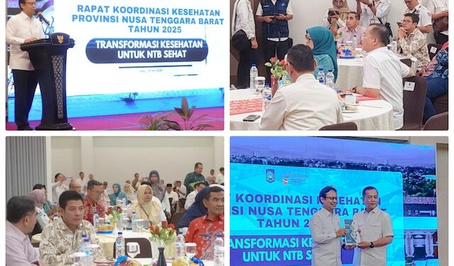 Keluhan Bupati Dompu Tentang Pembangunan Sektor Kesehatan, Simak Saran Menkes RI