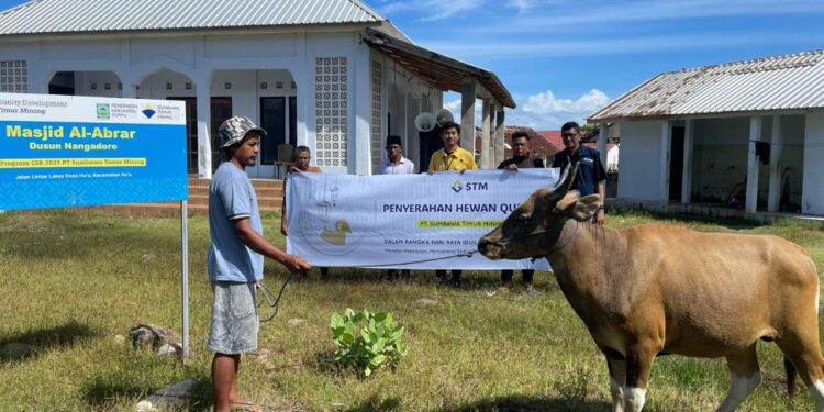 11 Ekor Sapi Disalurkan PT STM Untuk Kurban Idul Adha 1446 H