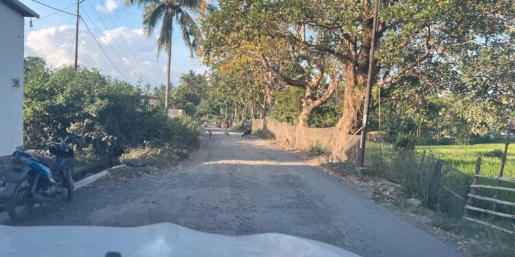 Warga Keluhkan Kondisi Jalan Persinggahan dan Karijawa, Desak Pemkab Dompu Segera Bertindak