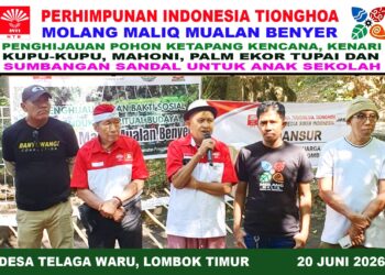 JMSI NTB dan INTI Tanam 43 Pohon di Mualan Benyer, Dukung Pelestarian Mata Air Adat