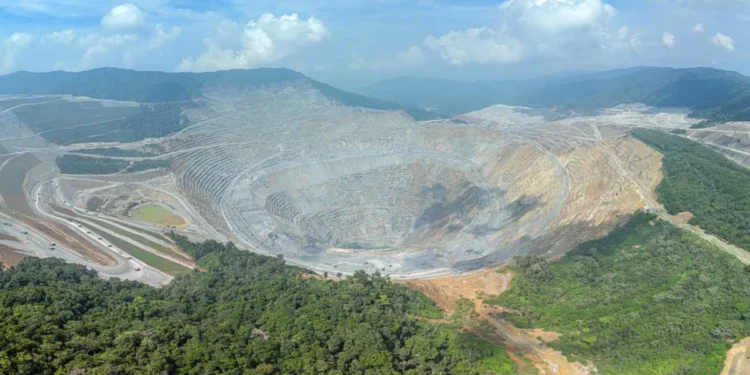 Elang Dodo: Cadangan Raksasa dan Tanggung Jawab pada Masyarakat Adat