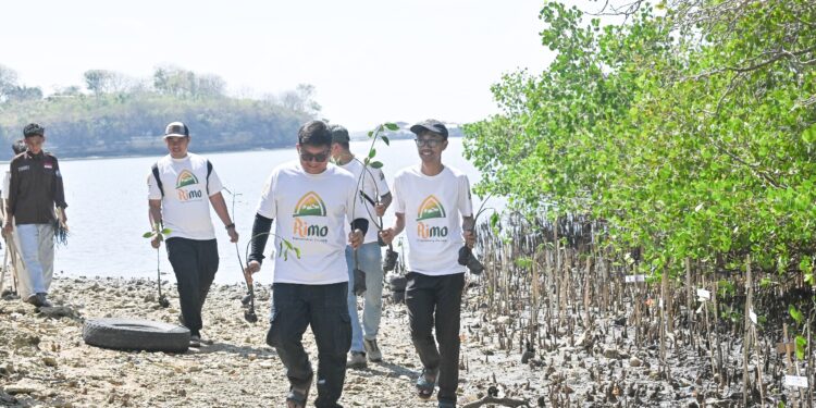 Peringati Hari Mangrove Sedunia dan HUT ke-62, Bank NTB Syariah Tanam Mangrove di Kawasan Ekowisata Paremas