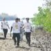 Peringati Hari Mangrove Sedunia dan HUT ke-62, Bank NTB Syariah Tanam Mangrove di Kawasan Ekowisata Paremas